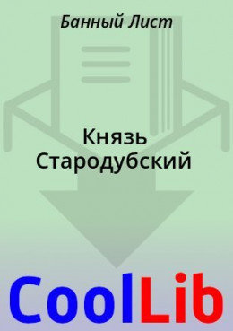 Князь Стародубский